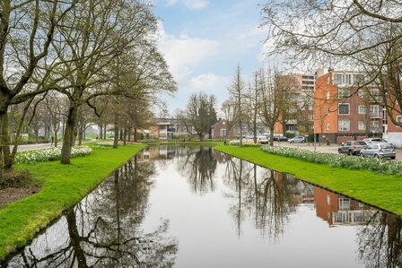 Doggerstraat Rotterdam